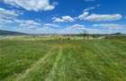 TEREN | BALNACA | 6301MP | BIHOR - 5