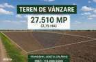 Teren de vanzare Frumusani Postavari Calarasi - 3