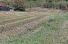 Teren de vanzare Popesti Vale, 3600 mp