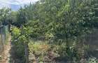 Casă cu 3 camere în Prundeni - 5