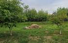 Casa si teren intravilan in com. Plopu, sat Nisipoasa, jud. Prahova. - 5