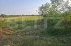 Teren extravilan de vanzare, 5000 mp, zona Viisoara