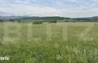 5500 mp de teren extravilan, direct la drumul national - 1