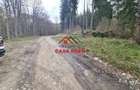 Teren extravilan Valea Doftanei 20.500 mp 6e mp - 1