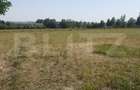 Teren 26 ari, extravilan, langa padure, zona Partestii de Jos