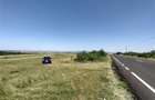 Nicolint, 2 Terenuri Extravilane, Arabil, 1.45 Hectare - 10