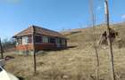 Casa individuala l Teren 2698 MP l Hagau - 1