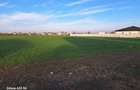 Teren intravilan Buftea - 8
