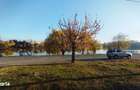 Vand Teren Intravilan 300 Mp Cu 2 Deschideri Langa Lacul Tei - 5