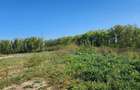 Investitie | Teren 18 hectare pentru exploatare nisip și pietriș |  - 6