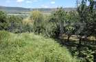 Casa de vanzare, 115 mp, teren 4000 mp, livada, zona Nord