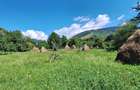 Teren de 876 mp, în Valea Doftanei - 2