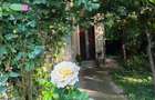 Vand casa 5 camere, cu teren 933 mp, langa Sc George Cosbuc, Ploiesti - 6
