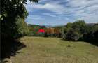 TEREN INTRAVILAN DE VANZARE IN POIANA CAMPINA | 3.526 M - 2