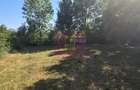 Teren intravilan de vanzare 3375 mp in Brebu - 4
