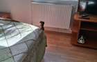 Apartament de inchiriat - 4