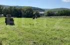 Teren intravilan 2950 mp, front 33 ml, Popesti