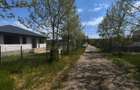 Loturi de vanzare Padurea Snagov - 6