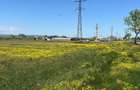 Teren intravilan 5.000 mp DN2/E85 nod A7 vanzare / inchiriere ATR