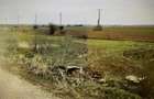 Vanzare teren extravilan arabil Jud. Giurgiu suprafata 154 ha - 2