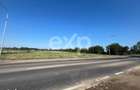 Teren intravilan premium 15.000 mp la DN61 langa Centura Gaesti acces - 2