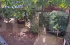 Apartament de vanzare, cu 3 camere, 55 mp, zona Lipovei