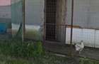 BUTIMANU - DN1A, CASA + TEREN 5000MP, DESCHIDERE 28 MP, - 7