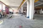 Hale noi in Baicoi, Ph--13.000mp--3e - 9