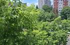 Apartament 4 camere decomandat - 11