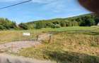 Teren intravilan - Lisnau - 1