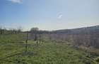 Teren intravilan Saldabagiu de Munte 1700 mp