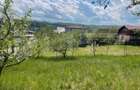 Investitie ! Teren intravilan,494 mp, front 14 m,cart Dâmbul Rotund-Lombului   ! - 3
