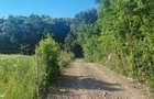 Teren extravilan, padure Zona Corunca Acatari - 2