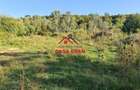 Teren intravilan in Cornu (Ph)--1490 mp--29e - 4