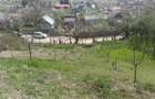 Casă cu 2 camere cu Teren 2500 Mp în Bogați - 2