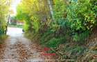 Teren intravilan in Breaza--1082 mp--39.000e - 1