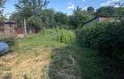 Casa de vanzare, toate utilitatile, 50 mp, 500 mp teren, Filiasi - 11