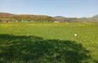 Teren extravilan 1.000 mp. Vulcan, Brasov - Ideal pentru gradina sau relaxare - 2