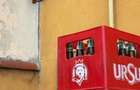 PLOIESTI - SUD, Vila cu teren - bd. Petrolului - 3
