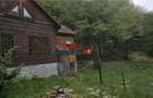 Casa de vacan?a la padure | Teren 891 mp | Valea Ighielului - 8