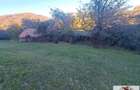 Casa cu 17399 mp teren in Valea Vintului - 3