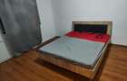 Apartament 2 camere de inchiriat in Calea Buziasului - 8