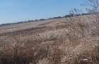 Teren de 2256 mp, în Copăceni - 1