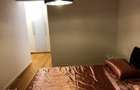 Apartament 2 camere Aviatiei Park - 9