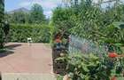 Casa/Vila de vanzare Str Morii/Suceava - 3