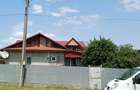 Casa + teren generos intravilan Sat Piscu (Fitionesti) - 14