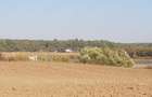 Vand teren Racari Sabie?ti Dambovi?a - 2