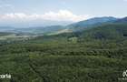 Livada de Nuci, 11 Hectare comasate, Cisnadie, Jud. Sibiu - 7