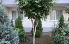 Apartament 2 camere de inchiriat Drumul Binelui 45-47, Sector 4 - 8