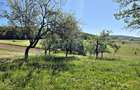 Casa si teren in Fasca, langa padure, 45 km Oradea Gaminvest V4621 - 5